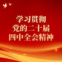 学习贯彻党的二十届四中全会精神