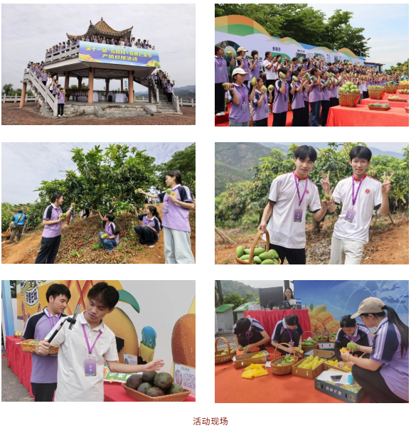 1781513250.png 图片.png